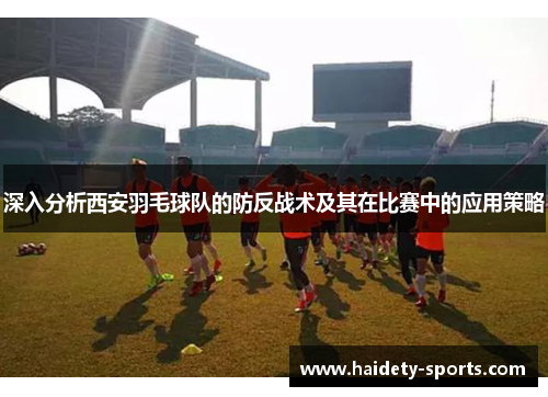 深入分析西安羽毛球队的防反战术及其在比赛中的应用策略
